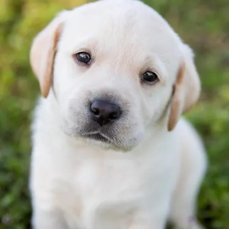 Luxury To Stay. Apartament